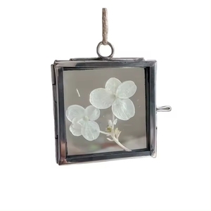 Mini Size <b>Photo</b> <b>Frames</b> Two Sided Glass Kiko <b>Frames</b> for Wall Hanging Pressed Leaf Brass & Glass Pictures <b>Frames</b> - Product Image 3