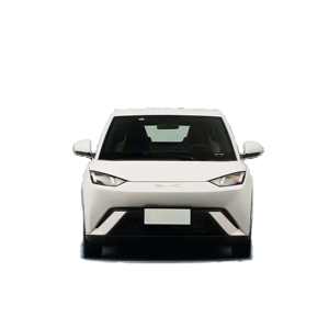 Vehículo Eléctrico Hatchback 2024 con Tracción Delantera, Techo Panorámico, Neumáticos R15, Vehículo de Nueva Energía de Alto Valor en Venta - Product Image 4