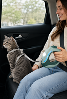 Laisse Rétractable LED en Nylon Rechargeable et Durable pour Chien et Chat avec Lampe Torche, Longueur 3m, Frein à Bouton Unique, Laisse de Promenade Automatique pour Animaux de Compagnie