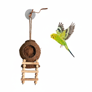 Nido para Pájaros Ecológico de Cáscara de Coco con Escalera de Madera |   Casa para Pájaros Colgante Natural de Vietnam - Product Image 2