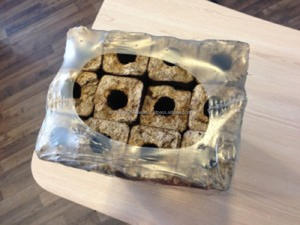 Briquettes de bois Pini-Kay Produits liés à l'énergie à vendre en Pologne - Product Image 3