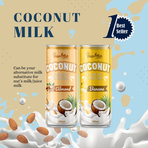 Vietnam Interfresh <b>Chocolate</b> Coconut Milk 180ml 250ml Alucan High Vitamin OEM ODM OEM for USA/Canada Store Brands | HACCP HALAL - Product Image 5