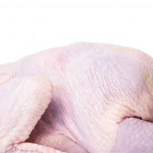 Pollo Entero Congelado Certificado Halal Disponible - Product Image 3