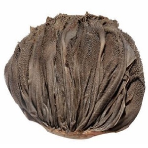 Export Quality Omasum <b>Beef</b> Tripe Frozen Natural Offal Bulk Packaging Supplier - Product Image 2