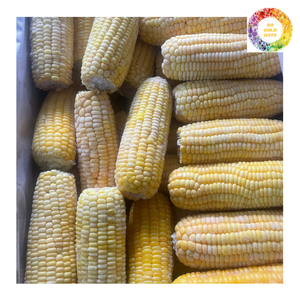 Granos de maíz dulce IQF, mazorca de maíz amarillo congelado, verduras mixtas, producto agrícola a granel, precio de fábrica para suministro de exportación - Product Image 2