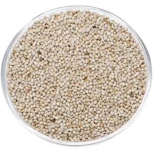 Semillas de Perilla al por Mayor, Origen Sudáfrica, Naturales, Marca NJICUDA Global Trade - Product Image 3