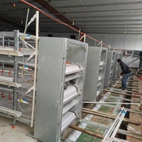 Système de cages à batterie pour volailles à automatisation complète de type H pour poulets de chair