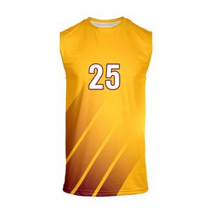 Vêtements de volleyball pour jeunes nouveau design vierge personnalisé Ensemble d'uniformes de maillot d'équipe pour enfants Uniformes de maillots de volleyball personnalisés - Product Image 6