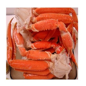 Patas de Cangrejo de <span class=keywords><strong>Nieve</strong></span> Capturadas <span class=keywords><strong>en</strong></span> el Campo, Mariscos Congelados - Product Image 4