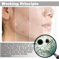 OEM ODM Soins de la peau bio Microneedling pour la restauration du visage Réparation naturelle Sérum éponge hydrolysée Ensembles de rajeunissement de la peau