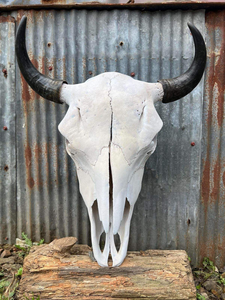Art Deco Style Faux Ox <b>Skull</b> Resin Animal Painting with Tribal Carving and Horns Bone Look Features by tradebit - Product Image 2