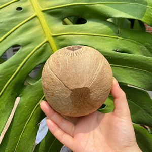 Portavelas de cáscara de coco ecológico artesanal de Vietnam, carcasa decorativa impermeable para hacer velas elegantes - Product Image 6