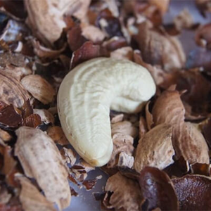 Factory Producing <b>Roasted</b> Salted Shelled Cashew Nuts W320 Vietnam High Quality Split Cashew Kernels Organic Export to the Europe - Product Image 6