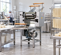 Machine automatique commerciale pour la fabrication de nouilles, extrudeuse de nouilles en acier inoxydable pour les restaurants, les cantines et les boulangeries