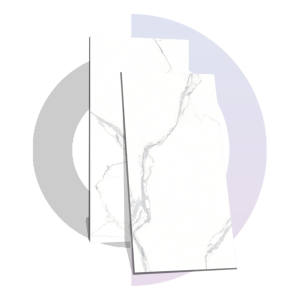 Azulejos de porcelana blanca ELITE BIANCO 600x1200MM / 24X48 Azulejos de primera calidad con aspecto de mármol blanco, resistentes al agua y antideslizantes. - Product Image 1