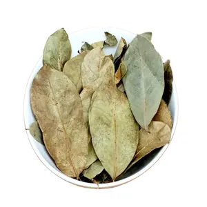 高品質の乾燥したソーストップの葉-天然乾燥したソーストップの葉-グラビオラの葉の粉末
