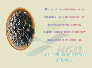 Approvisionnement direct d'usine HGO d'extrait de chardon-Marie naturel pur (qualité alimentaire) spécification Silybin 95% (extrait standardisé) - Product Image 5