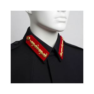 Customized <b>Gold</b> Bullion Embroidered Gorget Collar Badge for Service Uniform with Red fabric and Golden embroidery - Product Image 2