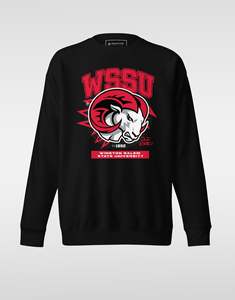 เสื้อสเวตเชิ้ตพรีเมียม WSSU Winston Salem State University เสื้อฮู้ดดี้แบบกำหนดเองสำหรับวิทยาลัย ผ้าฟลีซ ยูนิเซ็กซ์ ผ้าฝ้าย 100% สไตล์สตรีท OEM HBCU - Product Image 1