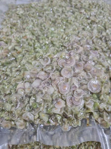 OFFRE EN GROS CITRONELLE CONGELÉE FOURNITURE EN VRAC QUALITÉ SUPÉRIEURE MEILLEURE VENTES PRODUIT D'EXPORTATION D'HERBES AROMATIQUES NATURELLES - Product Image 5