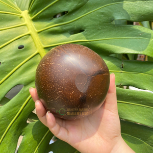 Meilleure vente Petits bols en coquille de noix de coco laquée écologiques Emballage personnalisé gravé au laser avec logo personnalisé Eco2go du Vietnam - Product Image 6