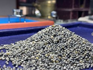 Bort Industrial Natural Diamond Grit Core Drill Bit Modèle ND-1 16/18-120 Mesh pour un forage de noyau efficace Abrasifs Blast Media - Product Image 6