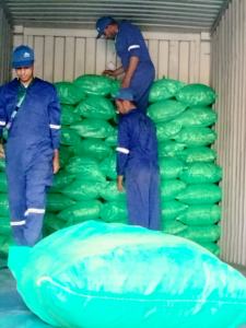 Semillas de Eneldo Egipcio de Primera Calidad, Certificadas ISO22000, Tipo de Procesamiento Crudo Seco AD, por la Empresa El Ekhlas - Product Image 3