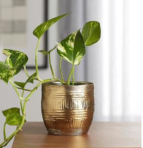 Elegante jardinera de metal con acabado dorado para decoración de entrada, hogar o jardín con plantas de palma o serpiente - Product Image 6