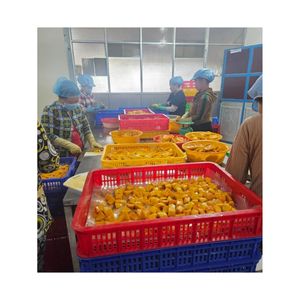 VENTE CHAUDE Mangue surgelée de qualité immaculée pour régime alimentaire végétalien et collation énergétique délicieuse pour la randonnée en plein air - Product Image 2