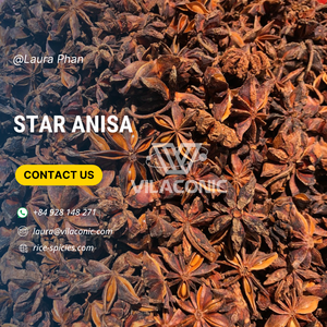 Cannelle de cassia à l'anis étoilé de meilleure qualité provenant directement du Vietnam pour le printemps d'hiver-WS Laura + 84 928 148 271 - Product Image 1