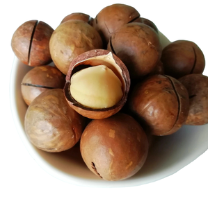 Nueces de Macadamia Crudas - Calidad Premium - Product Image 3