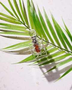 Huile essentielle de bois d'agar: chasser les mauvais esprits et la malchance - Product Image 3