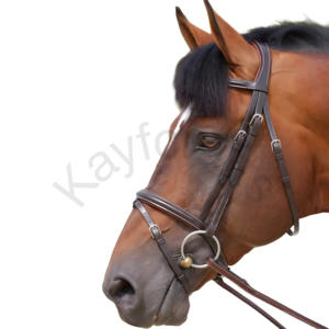 Bride de muserolle flash classique avec casque anatomique rembourré - Product Image 2