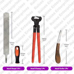 Top vente sur mesure de haute qualité Kit d'instruments vétérinaires réutilisable Horse Farrier Tool avec caractéristiques en vente! - Product Image 4