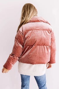 Femmes 2025 hiver XL fermeture éclair velours bouffant manteau col montant chauffant longue veste Style imprimé matelassé vêtements d'extérieur - Product Image 3