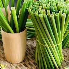 2024 Hot Trend Pailles d'herbe organique naturelle pour boissons Versions fraîches et séchées pour la protection de l'environnement - Product Image 6