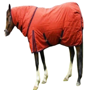 Vente en gros de tapis de cheval en coton écologique de haute qualité pour un confort et une protection ultimes 2025 - Product Image 1