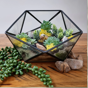Terrarium en verre géométrique allongé avec cadre en laiton, plantes succulentes, jardinière de bureau moderne. Disponible aux prix de gros. - Product Image 5