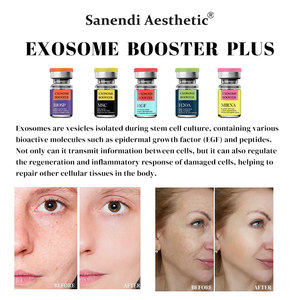 OEM EXO-CONTOUR EXO-Booster PLUS เอสเซนส์บำรุงผิวคุณภาพสูง สูตรดูแลผิวแบบน้ำ บรรจุภัณฑ์สั่งทำได้ ผู้จัดจำหน่ายขายส่ง - Product Image 6