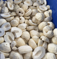 Diepvries broodvruchtplakken gemaakt van vers broodvruchtmateriaal voor koken, frituren, verwerking en export naar Vietnam