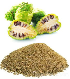 Fabricante de Polvo de Fruta Noni de Vietnam, Polvo Herbal Puro de Grado Alimenticio Sin Químicos para el Mercado Global - Product Image 4