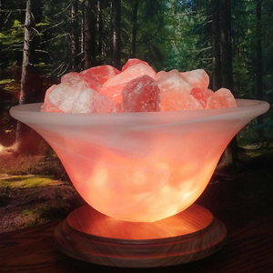 Lampe de sel de l'Himalaya naturel forme de bol veilleuse style fleur sculptée pour purifier l'air décoration de la maison lampe de sel en cristal à vendre - Product Image 3