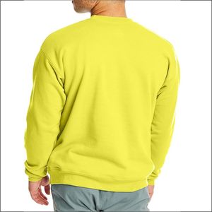 2025 nueva llegada otoño 100% algodón cuello redondo hecho a medida Color sólido pulóver sudadera para hombres mujeres secado rápido transpirable - Product Image 2