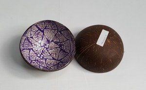 ราคาขายส่ง ชามมะพร้าวธรรมชาติคุณภาพสูง เป็นมิตรกับสิ่งแวดล้อม ทำด้วยมือ ขัดเงา ดีไซน์เรียบง่าย ย่อยสลายได้ สีสันสดใส สำหรับใส่อาหาร - Product Image 6