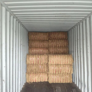 Fardos de Fibra de Coco Cruda Ecológica de Alta Calidad para Hilado, Colchones, Fundas de Sofá - Suministro al por Mayor - Product Image 1