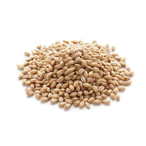Exportation d'orge maltée séchée de haute qualité pour l'alimentation animale Origine autrichienne - Product Image 4