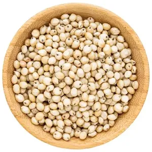 Satılık yüksek kalite profesyonel sarı/beyaz/kırmızı sorgum - Product Image 4