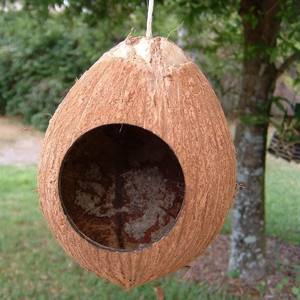 ไก่นกนกแก้วป้อนจากกะลามะพร้าว100% วัสดุธรรมชาติเป็นมิตรกับสิ่งแวดล้อมสำหรับสวน - Product Image 5