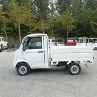 Mini camion électrique à frein à tambour, autonomie de 60 km, vitesse de 45 km/h et capacité de 490 kg, idéal pour la livraison sur le marché rural