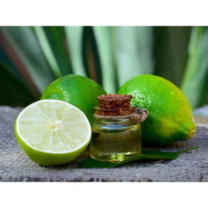 Aceite Esencial 100% Puro Certificado GMP Prensado en Frío de Árbol de Té y Cáscara de Lima Mejores Precios Exportador al por Mayor de Italia - Product Image 4